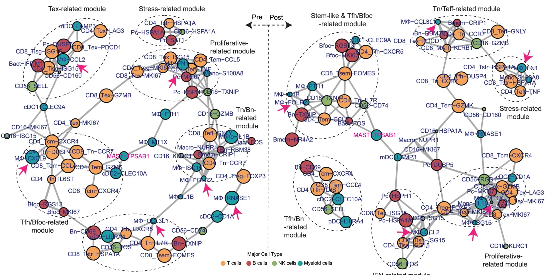 Open access visualization of Network, Pathway, Correlation Networks, Immune Cell Subsets, Tumors