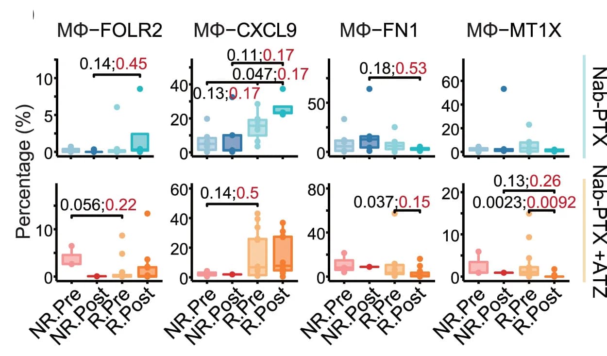 Open access visualization of Box Plot, Scatter Plot, Compositions, Dynamics, Macrophage Subsets