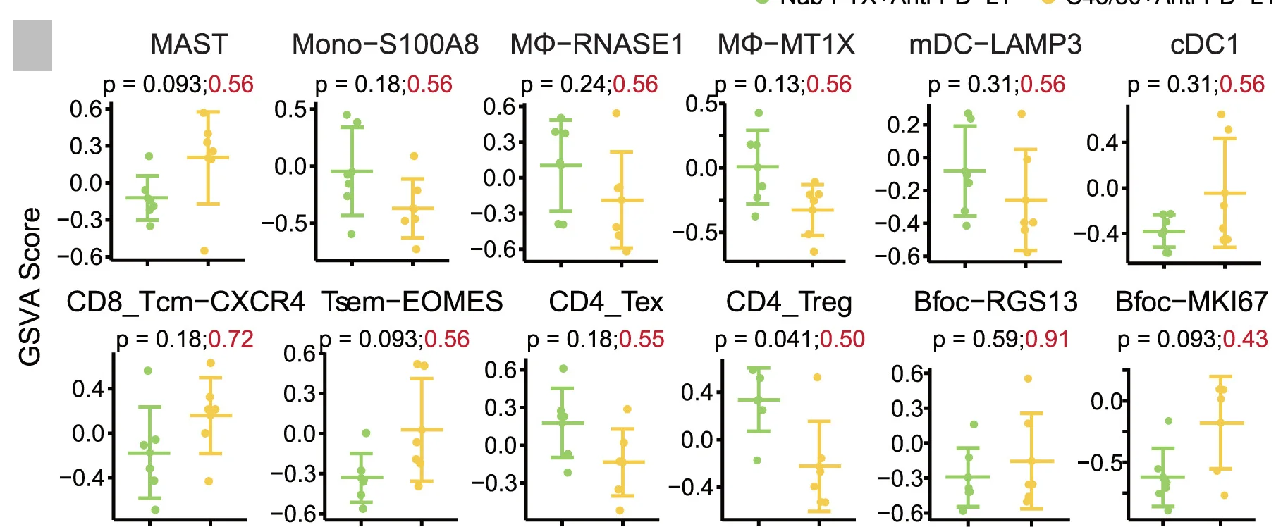 Open access visualization of Scatter Plot, Error Bars, GSVA Scores, Immune Cell Subsets, Treatments