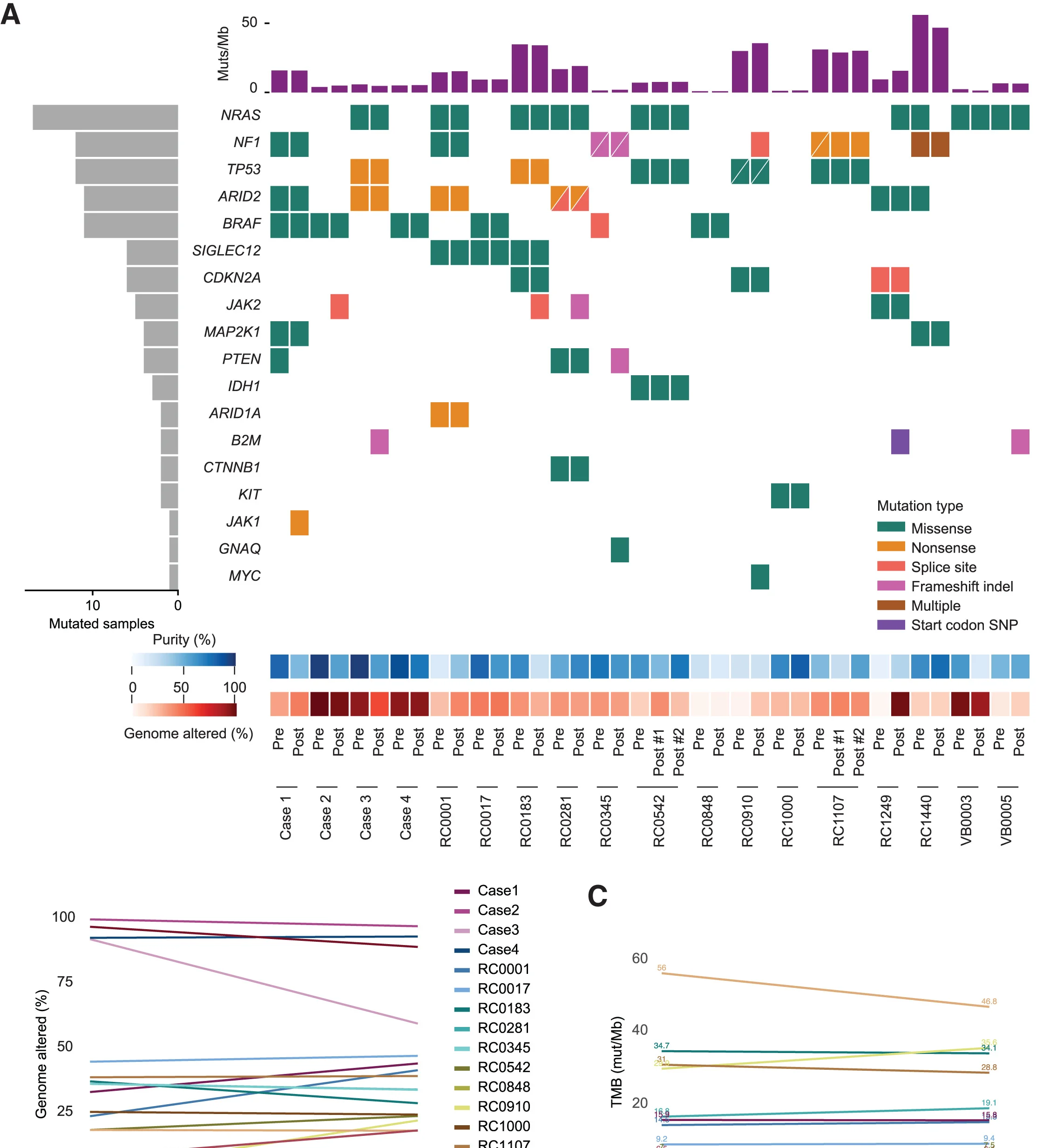 Open access visualization of Bar Plot, Heatmap, Line Plot, Percent Genome Altered, Pre-treatment Tumors