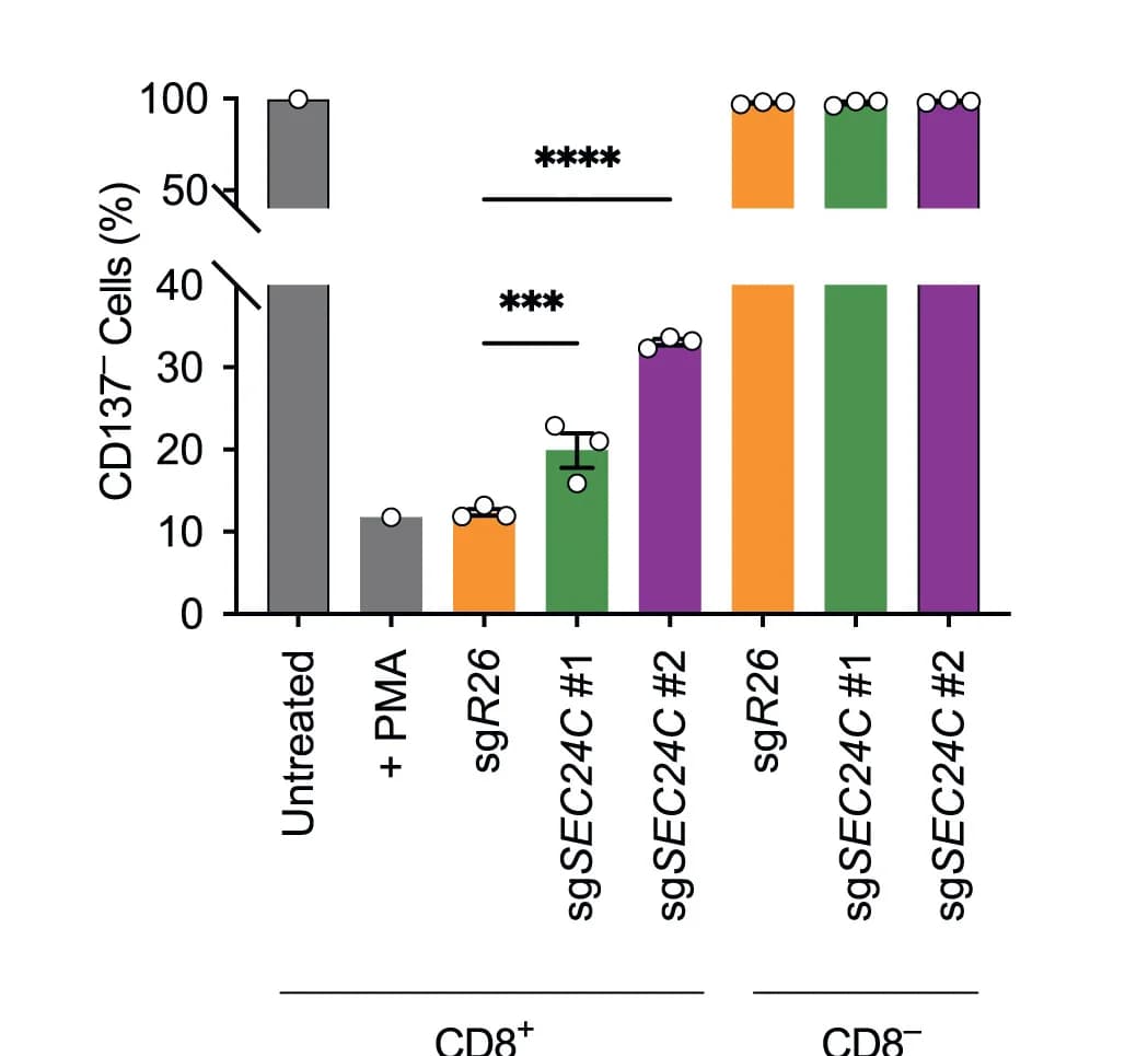 Open access visualization of Bar Plot, Error Bars, CD137, CD8+ T Cells, CD4+ T Cells
