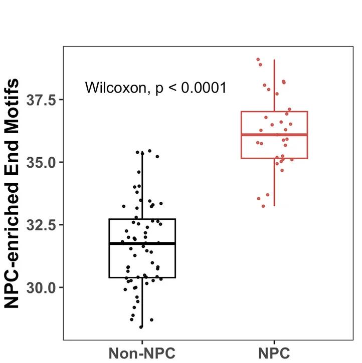 Open access visualization of Box Plot, Scatter Plot, NPC-Enriched End Motifs, NPC, Non-NPC