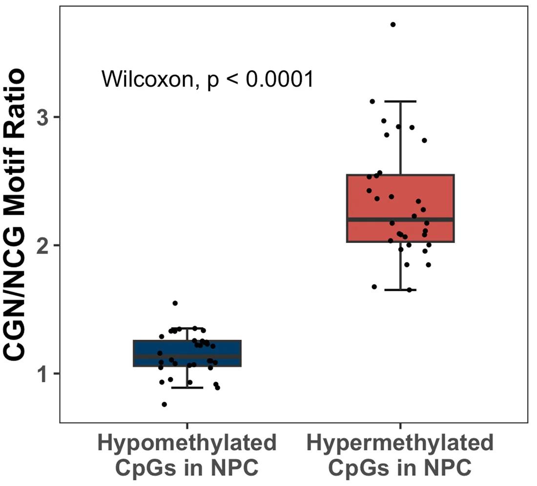 Open access visualization of Box Plot, Scatter Plot, Bisulfite Sequencing, NPC, Hypermethylated CpG Sites
