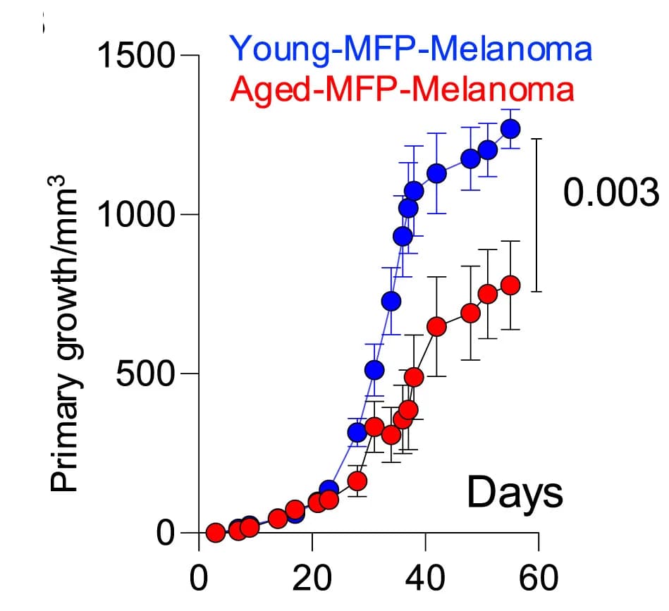 Open access visualization of Line Plot, Error Bars, Primary Tumor Growth, Mammary Fat Pad, Melanoma Cells
