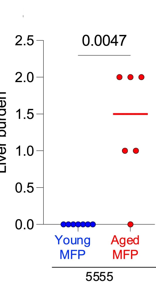 Open access visualization of Scatter Plot, Bar Graph, Liver Burden, Melanoma, Mann-Whitney U Test