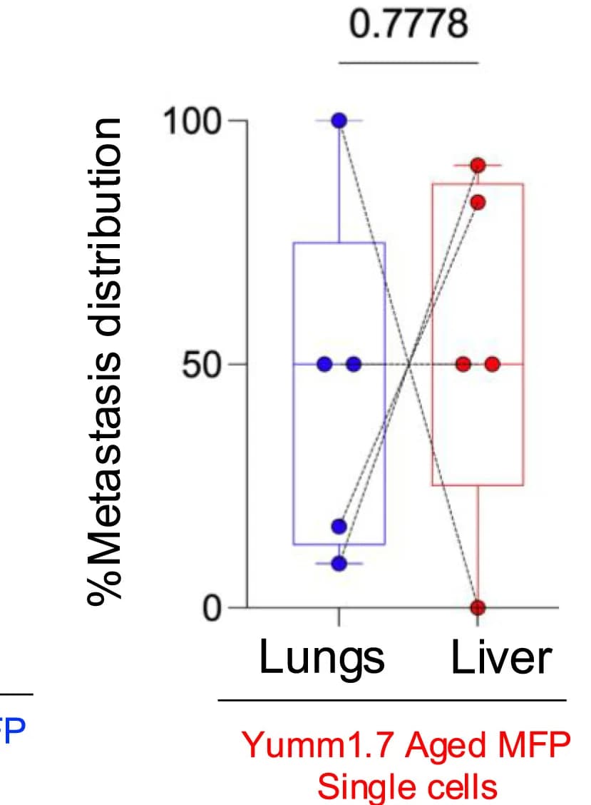 Open access visualization of Box Plot, Scatter Plot, Melanoma Cells, Lung Metastasis, Liver Metastasis