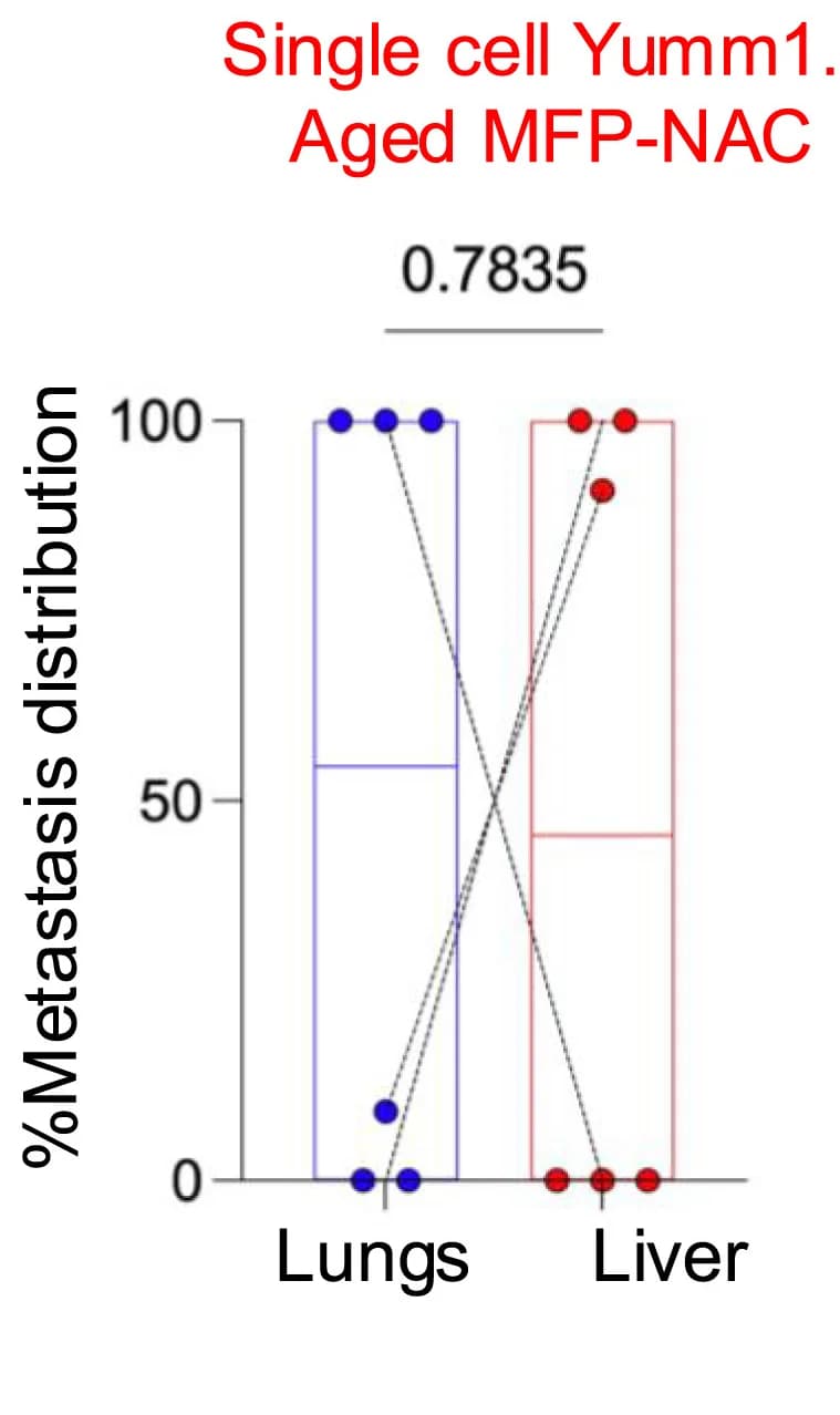 Open access visualization of Bar Plot, Scatter Plot, Lung Metastasis, Liver Metastasis, MFP-Yumm1.7 Cells