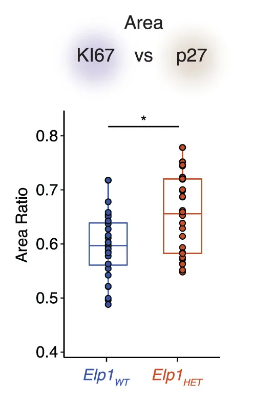 Open access visualization of Box Plot, Scatter Plot, Quantification, Ratio of Area, EGL
