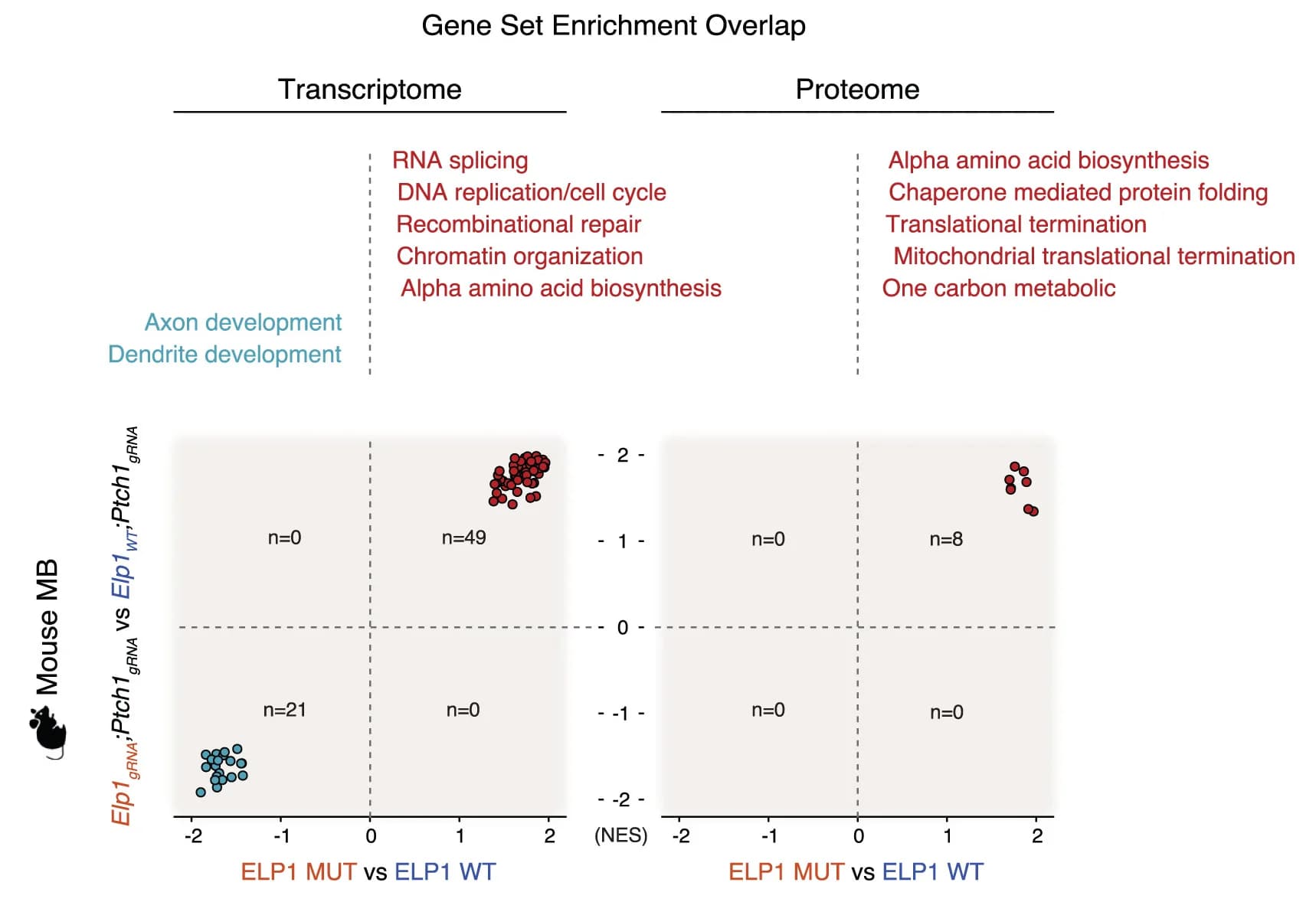 Open access visualization of Scatter Plot, GSEA Analysis, Tumor Similarity, ELP1-mutant SHH-MB, Transcriptomic Signatures