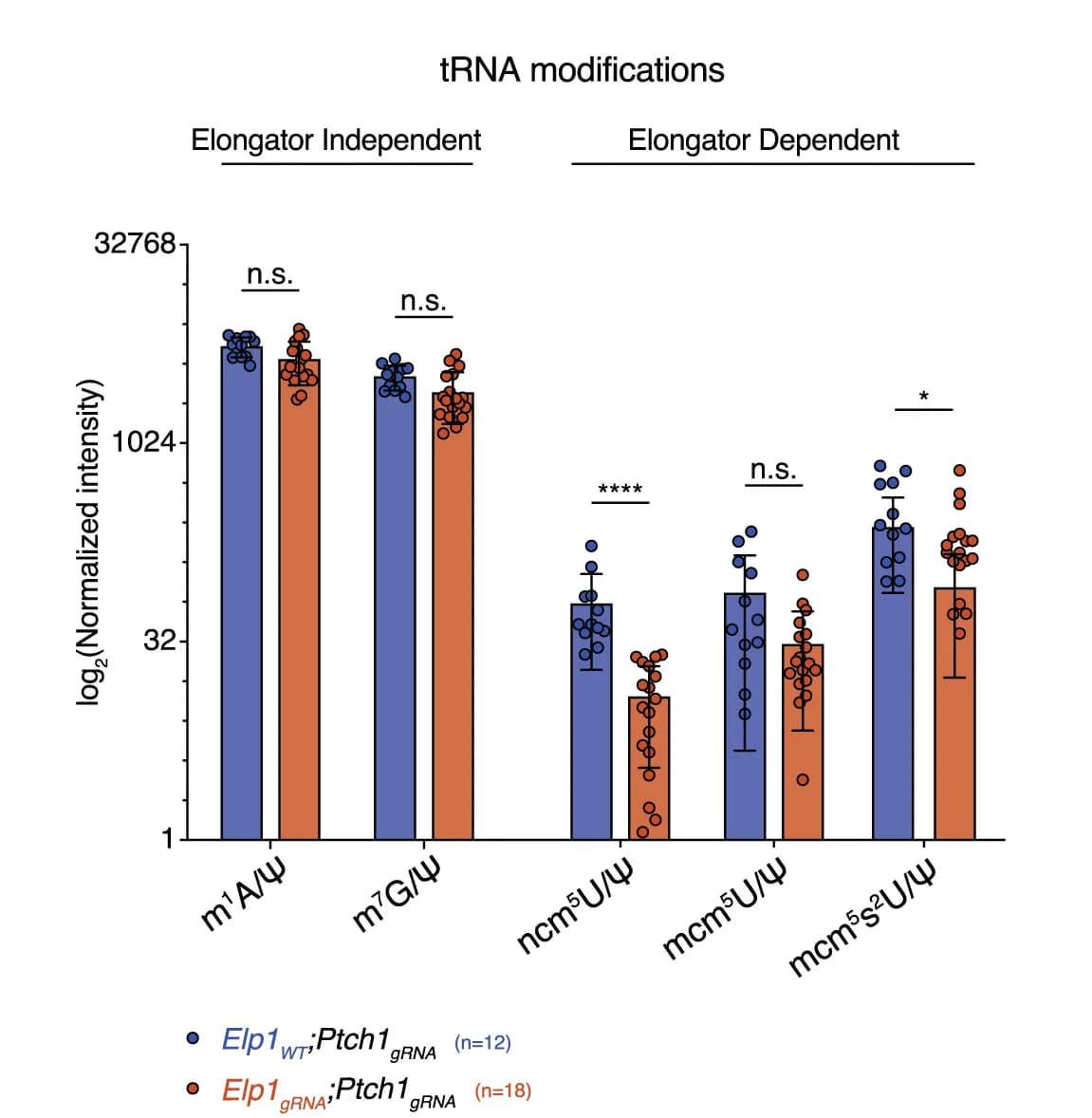 Open access visualization of Bar Plot, Error Bars, Scatter Plot, Clustered, tRNA-modifications