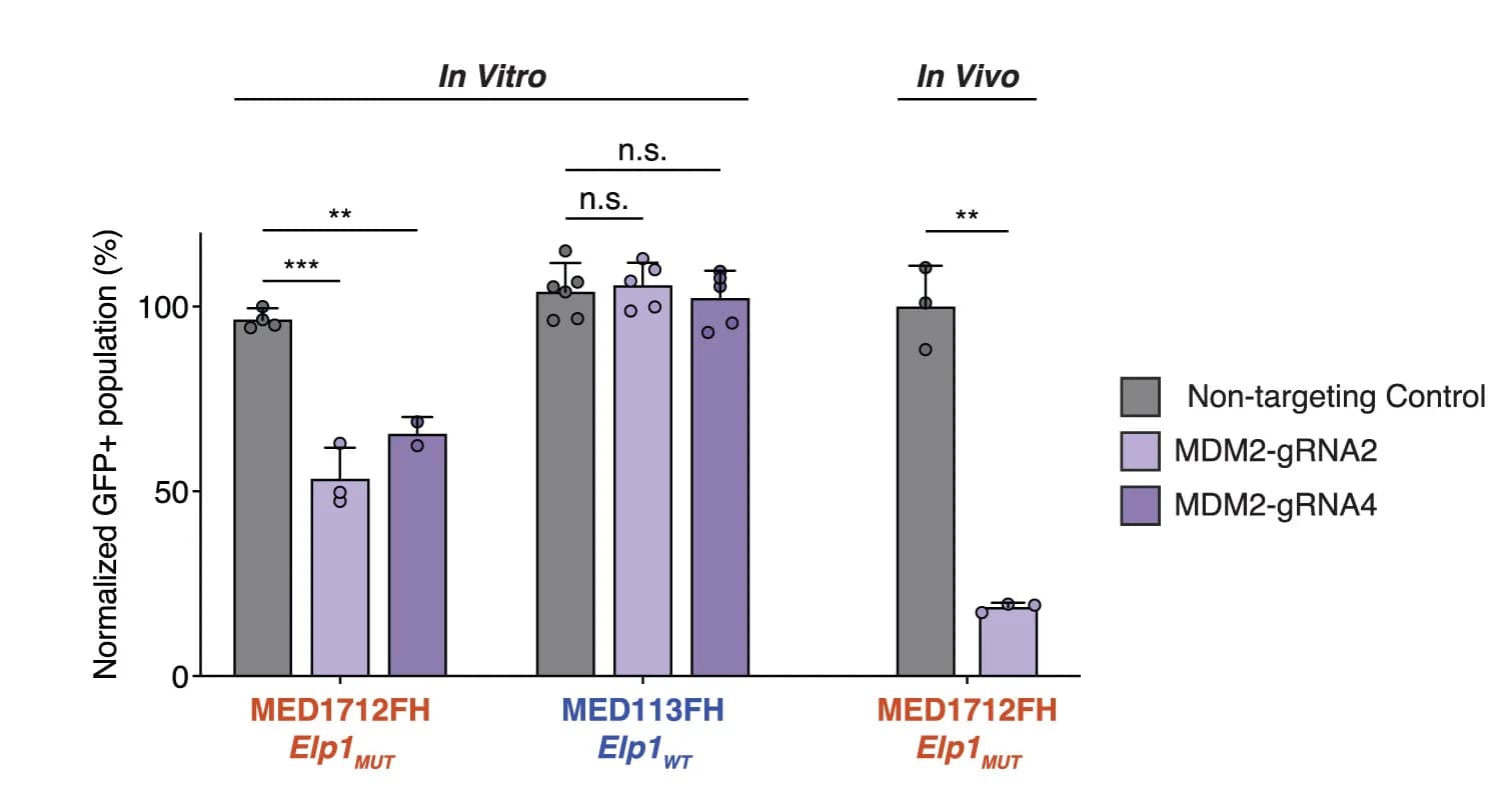 Open access visualization of Bar Plot, Error Bars, Clustered, Competition Assays, PDX Cells