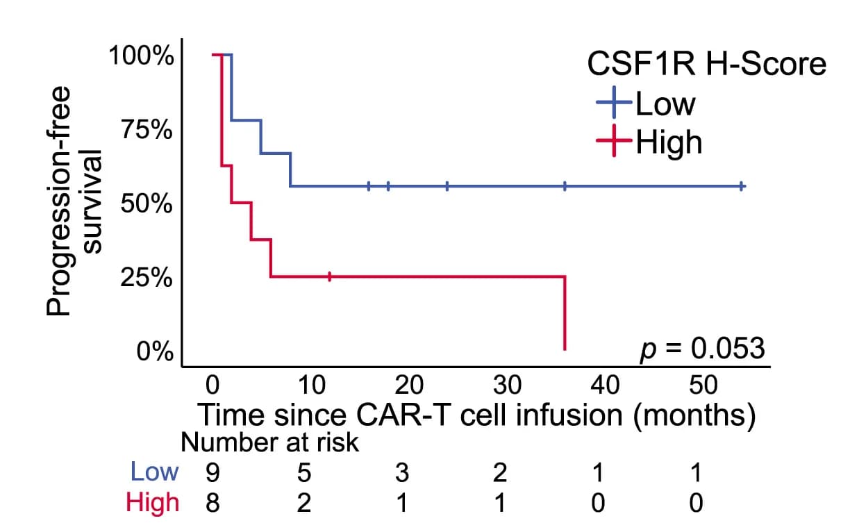 Open access visualization of Survival Curve, Progression-Free Survival, CSF1R H-Score, Log Rank Test