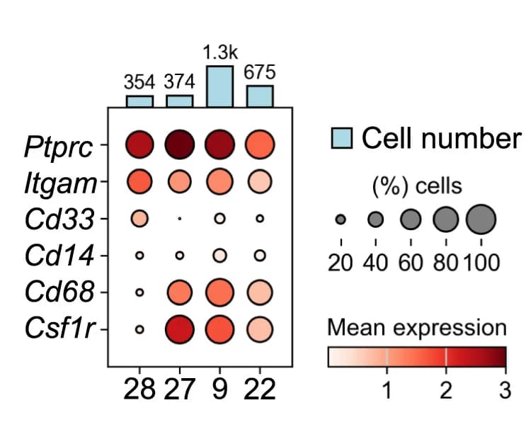 Open access visualization of Scatter Plot, Bar Plot, Heatmap, Unsupervised Clustering, Protein Expression