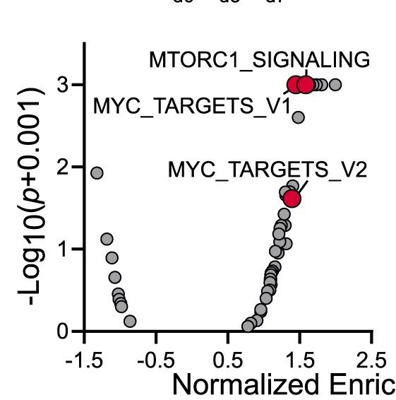 Open access visualization of Volcano Plot, Scatter Plot, Normalized Enrichment Score, GSEA, Monocytes