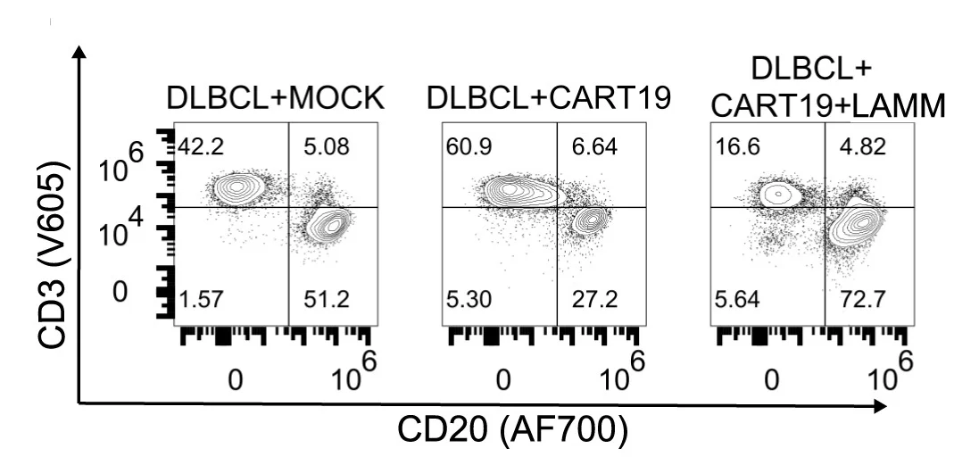 Open access visualization of Scatter Plot, Quadrant Plots, CD20+SU-DHL-4 B-NHL Cells, CD3+anti-CD19 CAR-T Cells