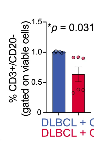 Open access visualization of Bar Plot, Error Bars, Scatter Plot, Relative Frequency, CAR-T Cells