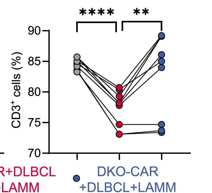 Open access visualization of Line Plot, Scatter Plot, Flow Cytometry, CD20+SU-DHL-4 Cells, CD3+T Cells