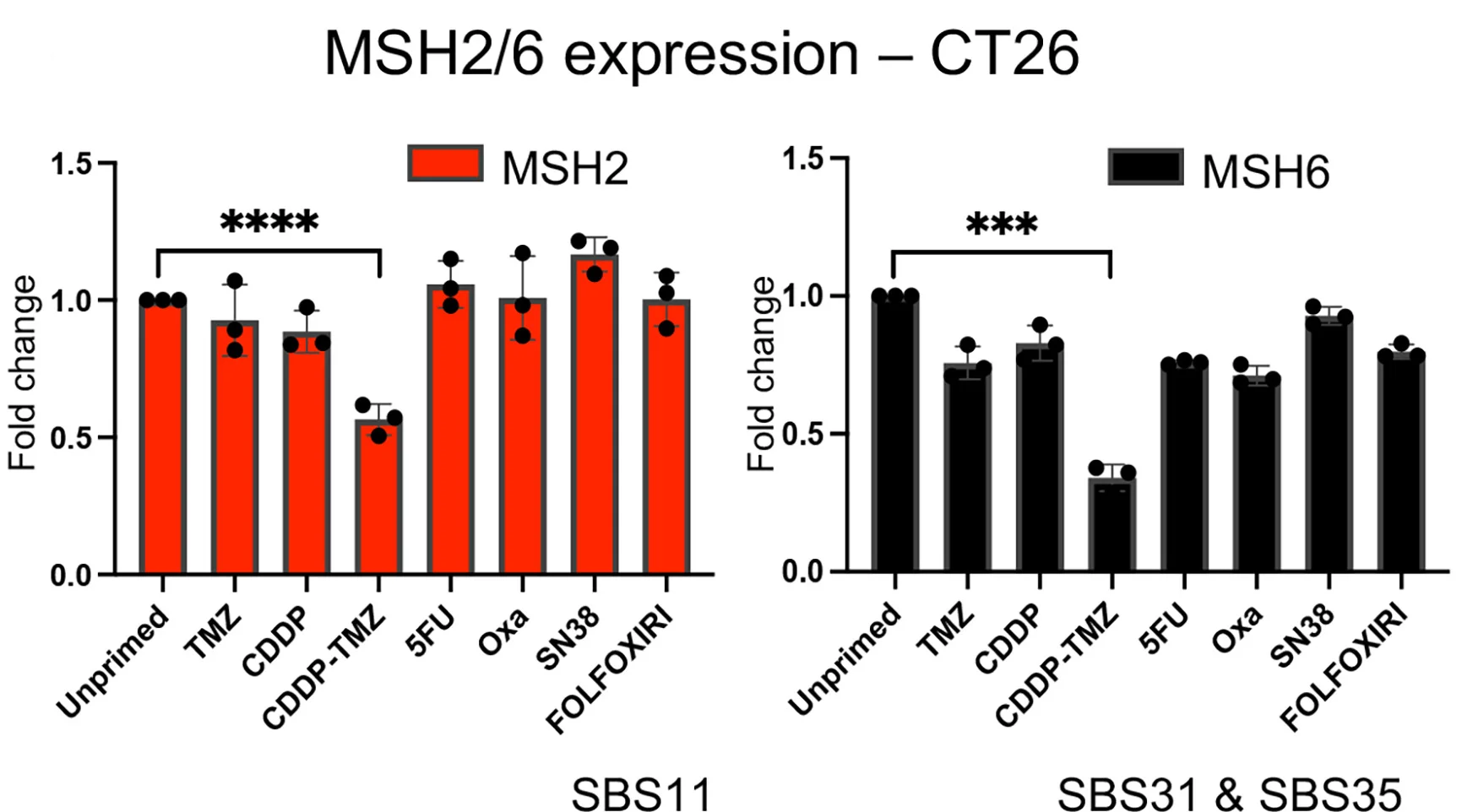 Open access visualization of Bar Plot, Error Bars, MSH2 Expression, MSH6 Expression, CT26