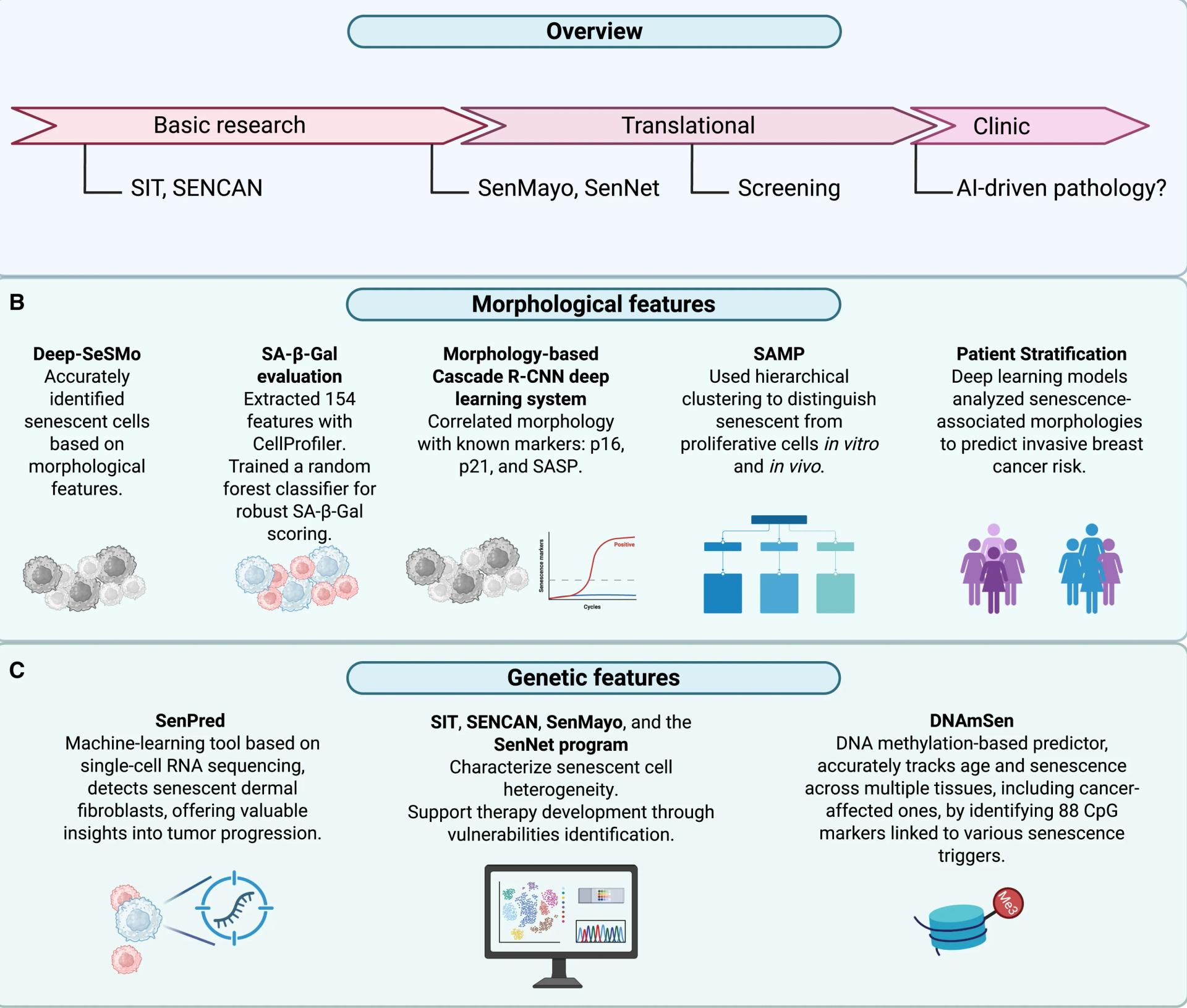 Open access visualization of Workflow, Flowchart, Illustration, Bar Plot, Clustered