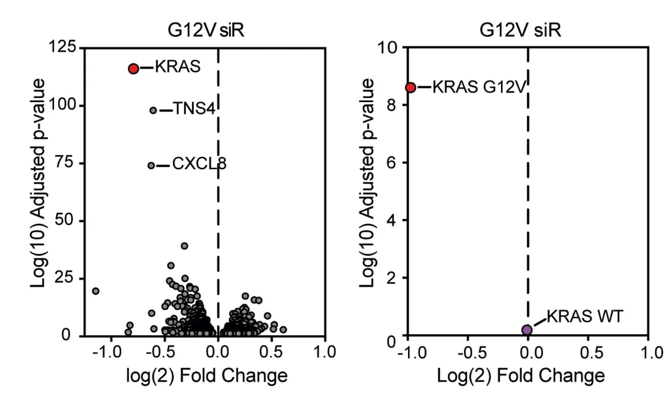 Open access visualization of Volcano Plot, Scatter Plot, Volcano Plots, RNA-Sequencing, SKCO1 Cells