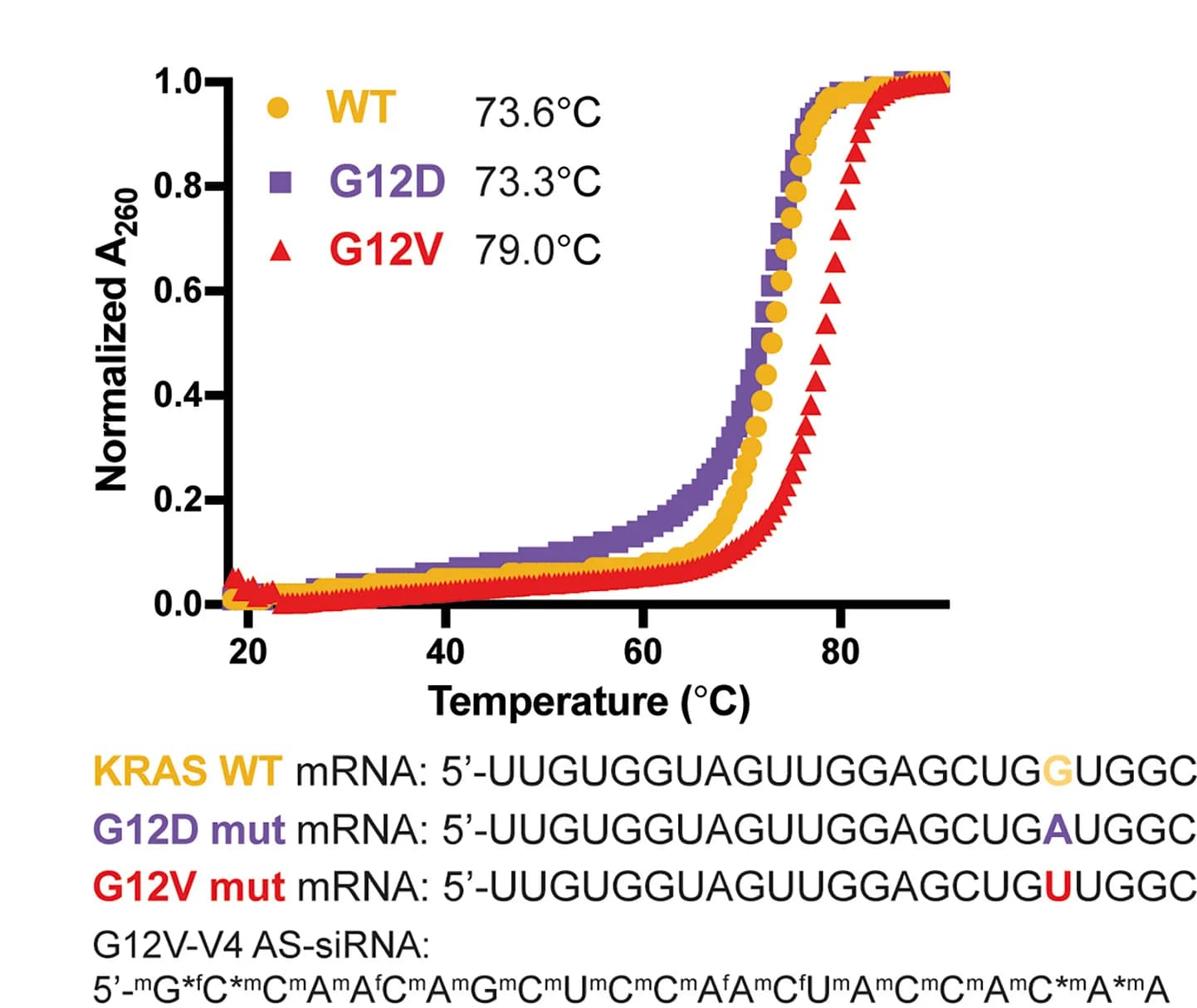 Open access visualization of Line Plot, UV Melting Curves, Sequences, KRAS Guide RNA, G12V Mutant