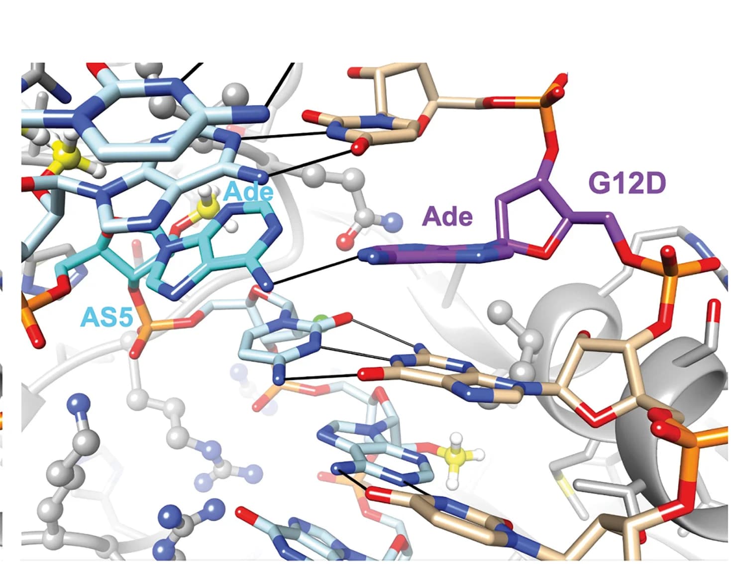 Open access visualization of Protein Structure, Chemical Structure, Molecular Mechanics Models, Ago2, KRAS Guide Sequence