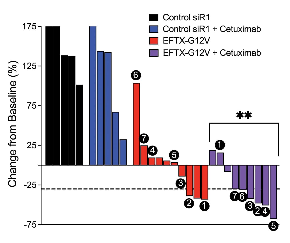 Open access visualization of Bar Plot, Waterfall Plot, Tumor Change, Baseline, Western Blot