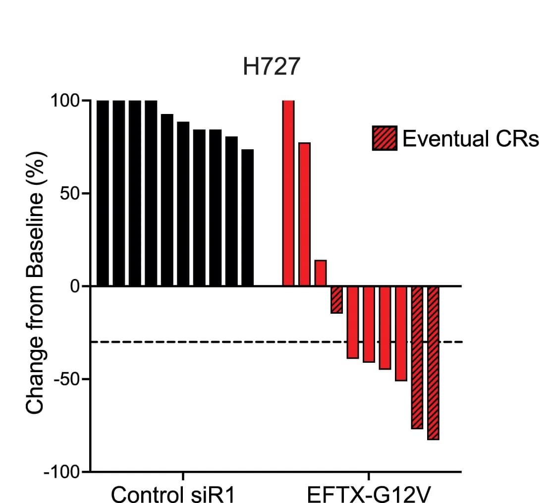 Open access visualization of Bar Plot, Waterfall Plot, Tumor Change, Baseline, Complete Response