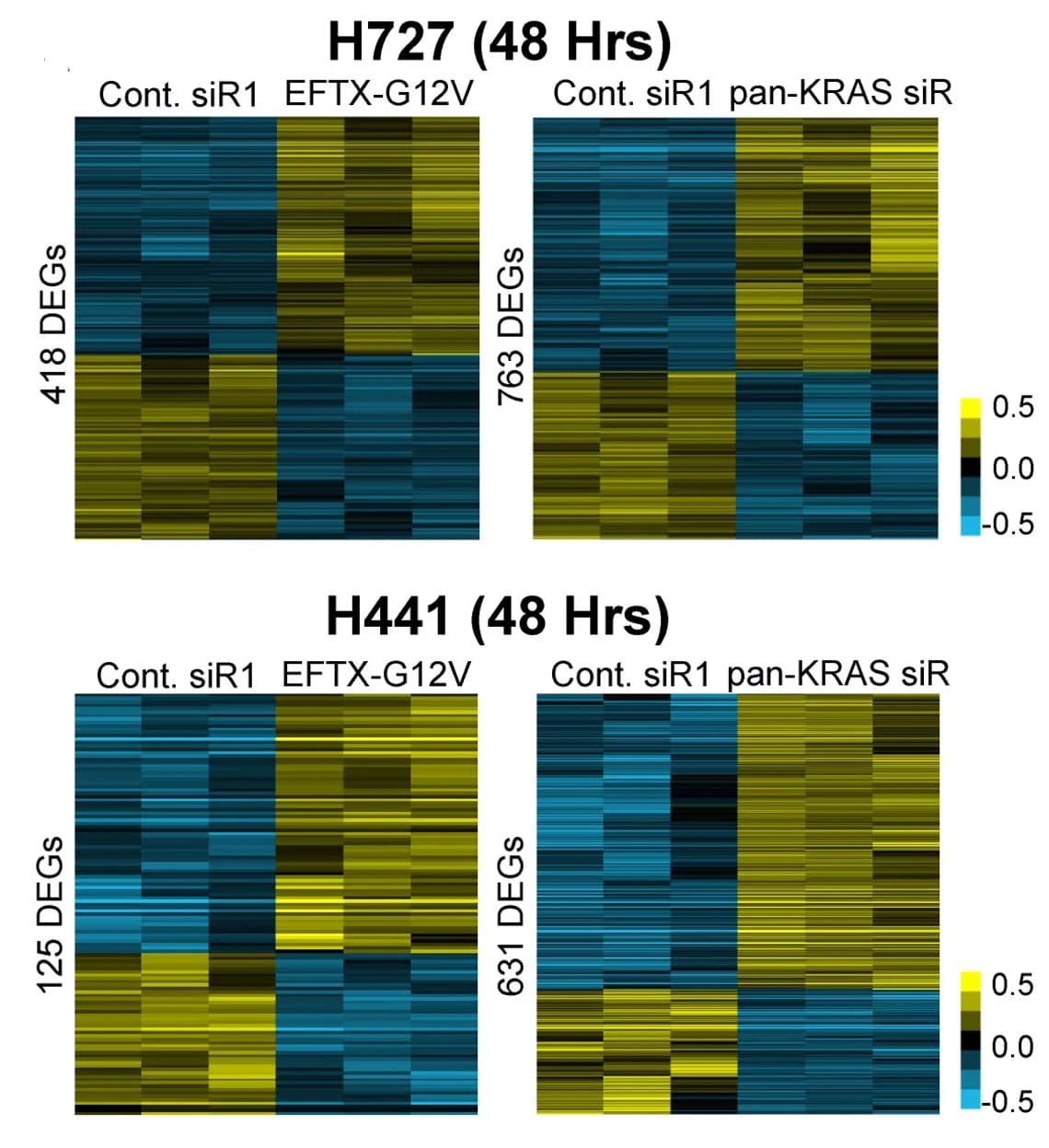Open access visualization of Heatmap, Heat Maps, Differentially Expressed Genes, Cells, siRNA