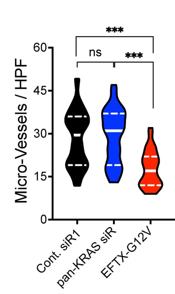 Open access visualization of Violin Plot, Micro-Vessel Density, MVD, H441, siRNAs