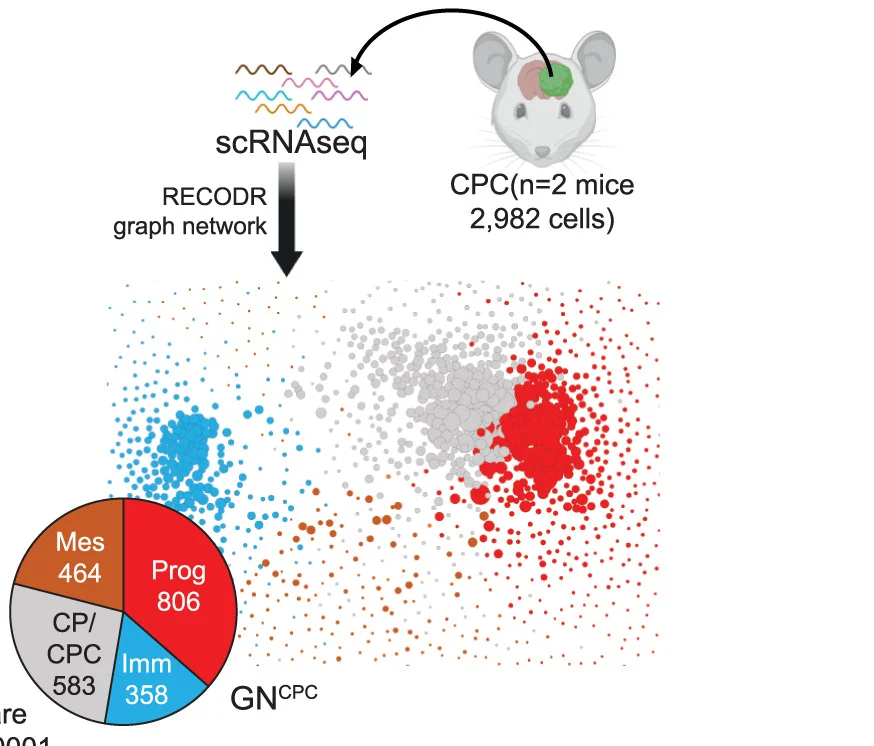 Open access visualization of Scatter Plot, Network, Pie Chart, Graph Networks, scRNA-seq