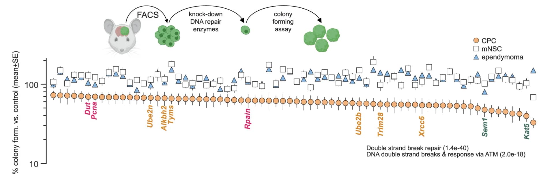 Open access visualization of Scatter Plot, Error Bars, Colony Formation, Fluorescence-Activated Cell Sorting, CPC