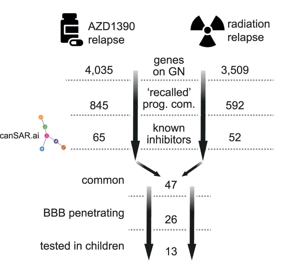 Open access visualization of Flowchart, Gene Targets, AZD1390, Radiation, Monotherapy Resistance