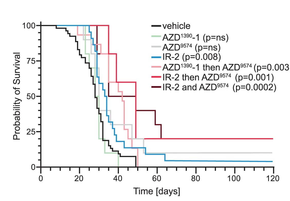 Open access visualization of Line Plot, Line Step, Survival Curve, Survival Curves, Preclinical Treatment