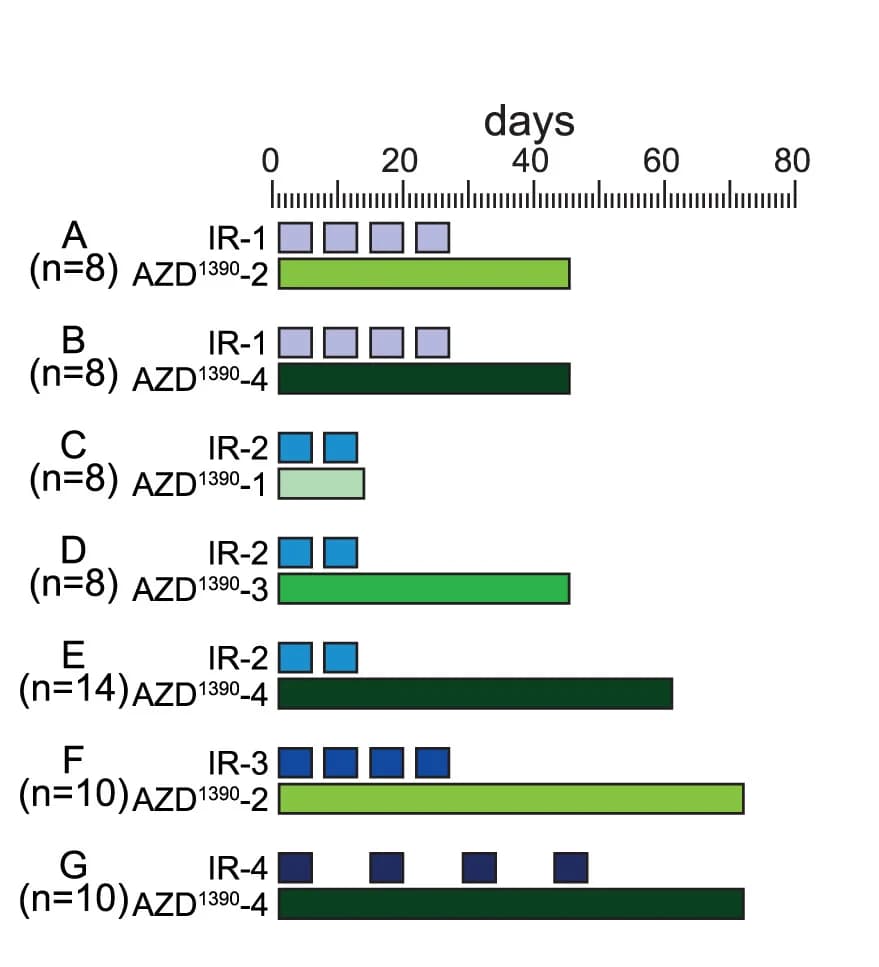 Open access visualization of Bar Plot, Preclinical Trial, Monotherapy Resistance, Mice