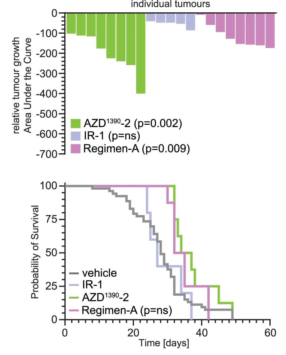 Open access visualization of Bar Plot, Survival Curve, Waterfall Plot, Tumor Growth, Bioluminescence