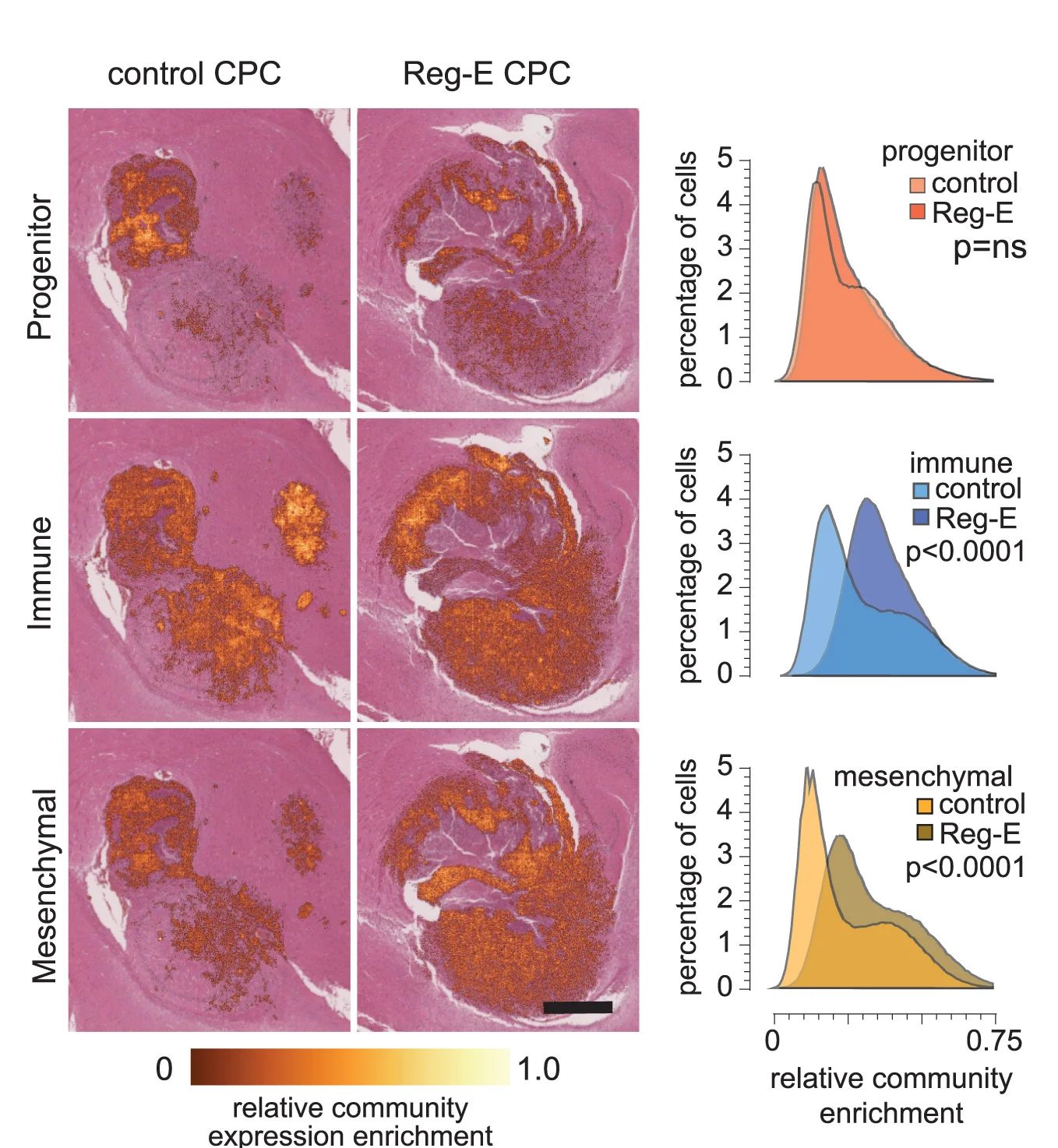Open access visualization of Microscopy, Line Plot, Density Plot, Visium HD, Spatial Transcriptomics