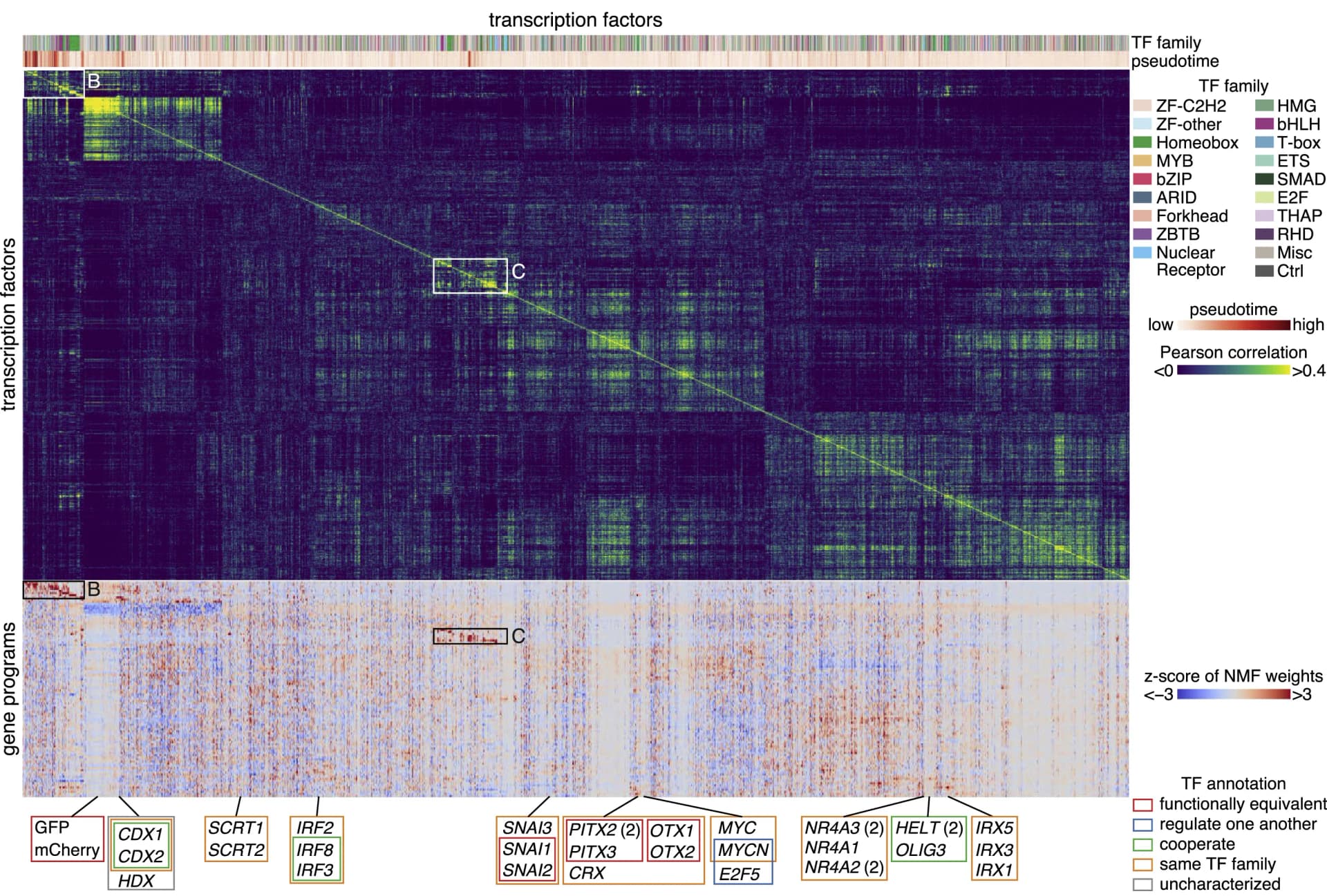 Open access visualization of Heatmap, Clustered, Pearson Correlation, Gene Programs, Non-negative Matrix Factorization