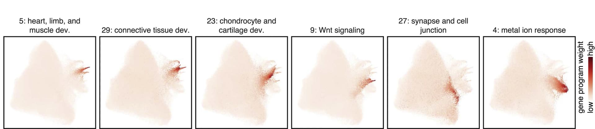 Open access visualization of Scatter Plot, UMAP, TF Atlas, scRNA-seq, Gene Program Enrichment