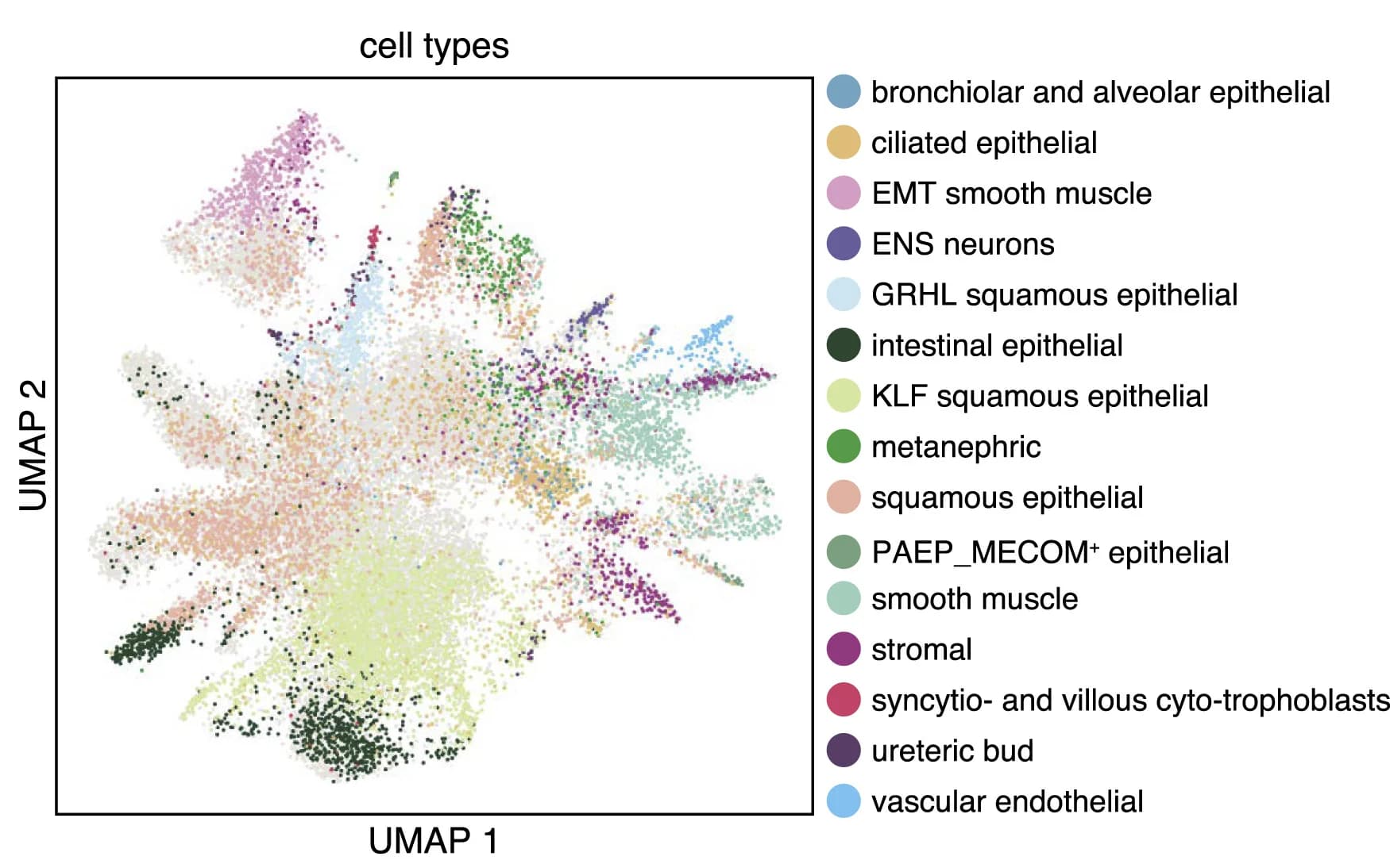 Open access visualization of Scatter Plot, UMAP, scRNA-seq data, Differentiated Cells, Reference Cell Types
