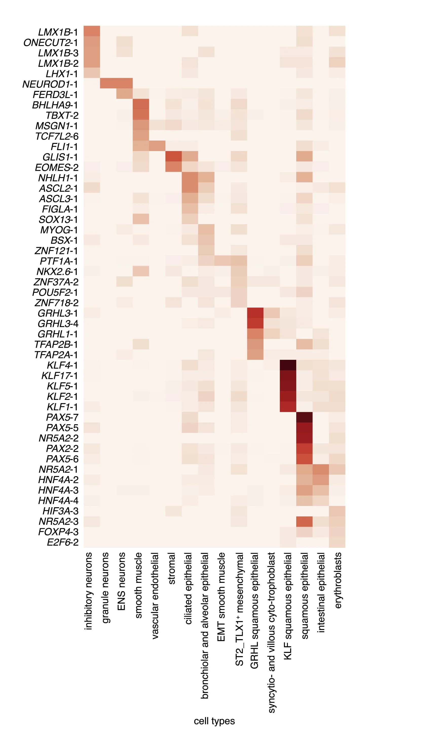 Open access visualization of Heatmap, Heatmaps, Cells, TF ORF, Cell Type