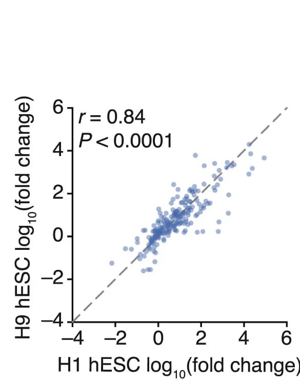 Open access visualization of Scatter Plot, Regression Plot, Scatterplot, Marker Genes, H1 hESCs
