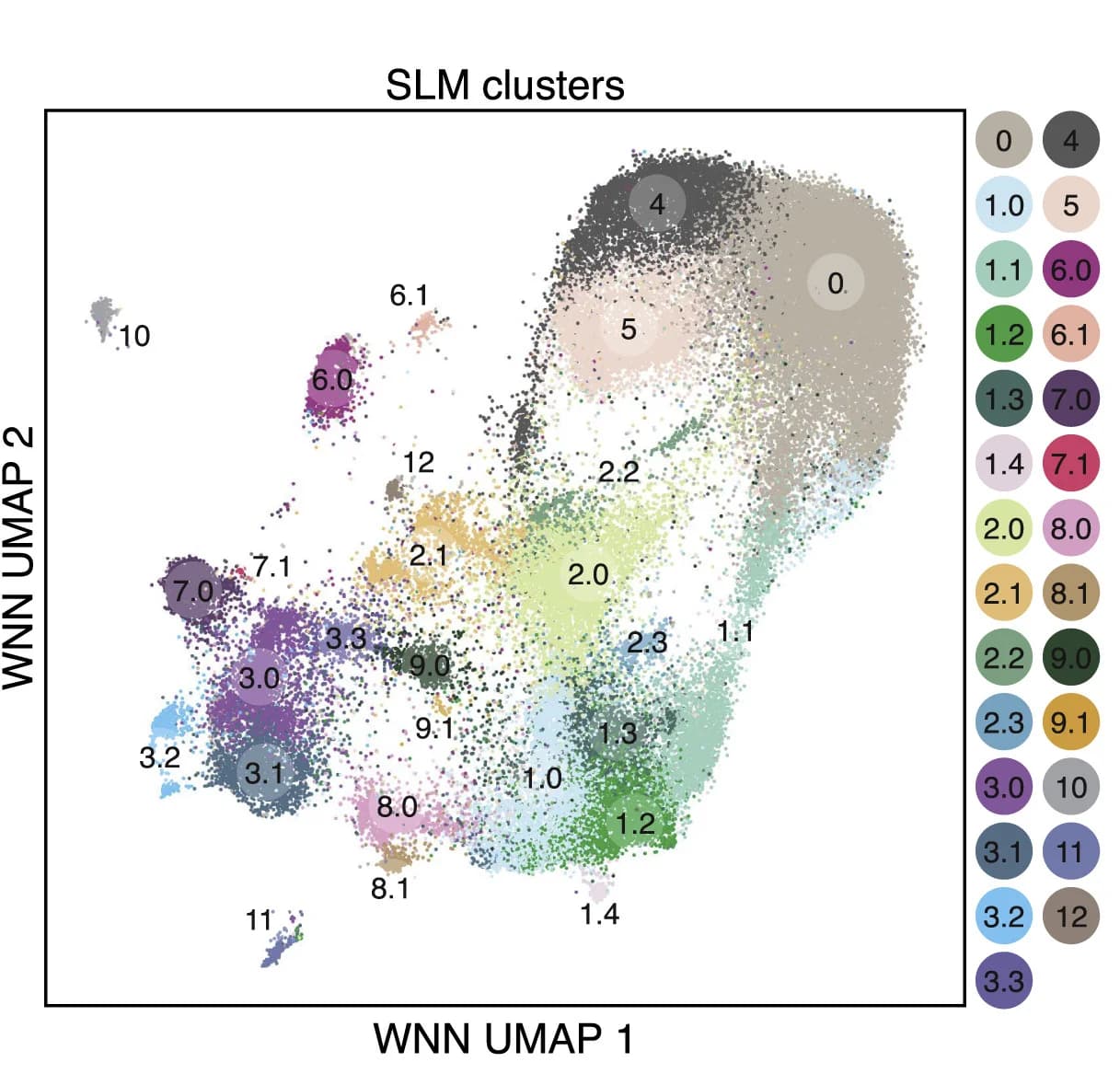 Open access visualization of UMAP, Scatter Plot, Bubble Plot, WNN UMAP, Chromatin Accessibility