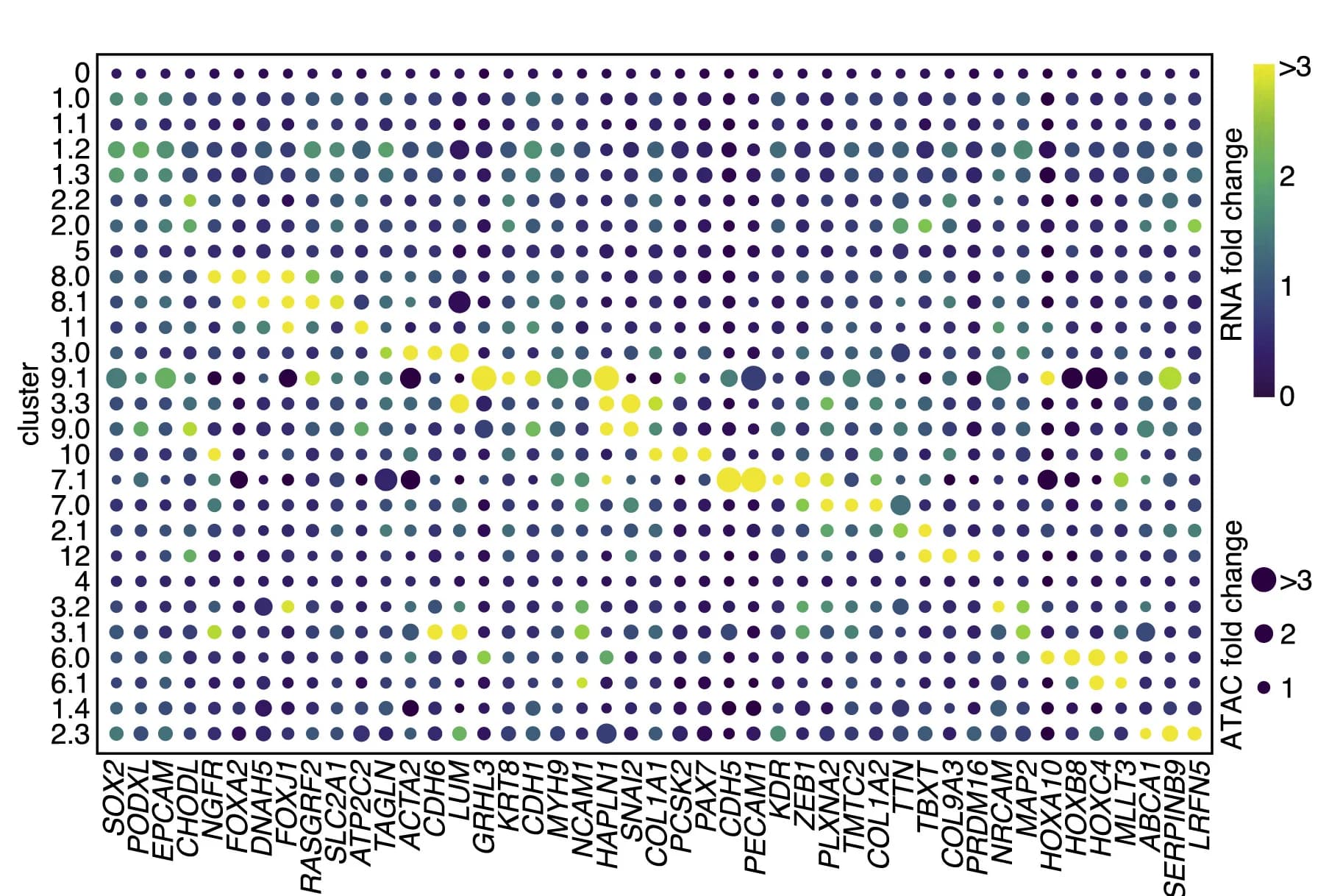 Open access visualization of Bubble Plot, Dot Plot, Marker Genes, Clusters, Expression Level