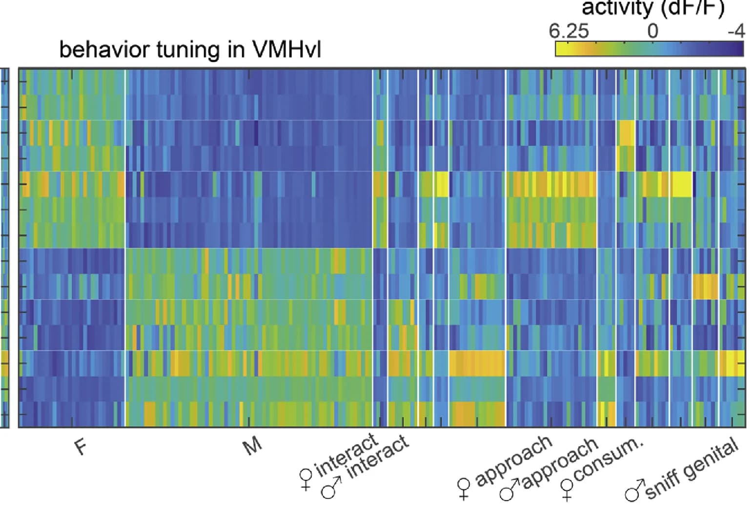 Open access visualization of Heatmap, Clustering, Esr1+ neurons, VMHvl, Regression model