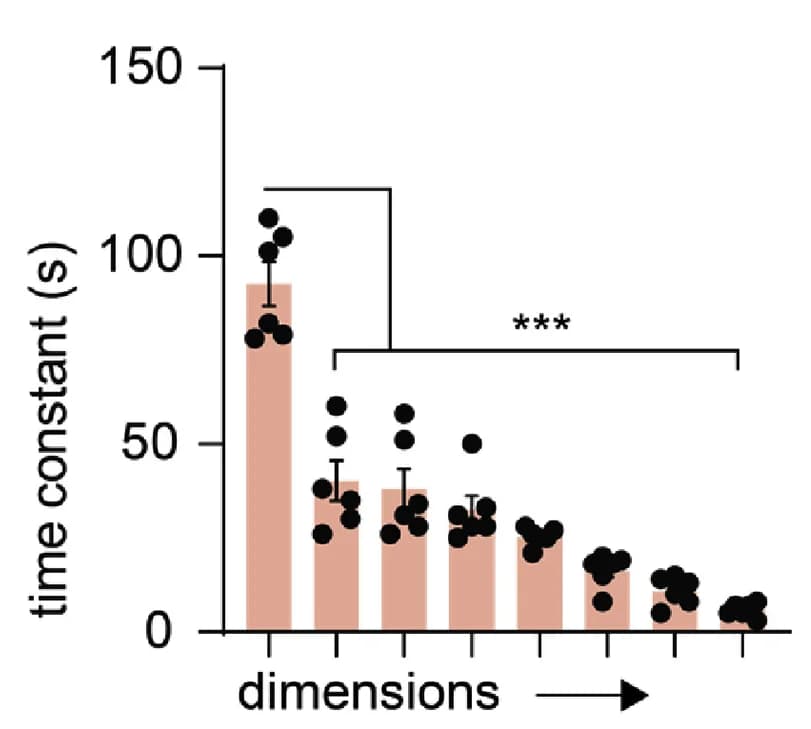 Open access visualization of Bar Plot, Error Bars, Average Time Constant, Dimensions, Mice
