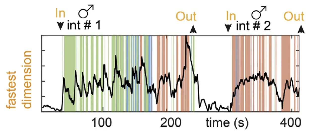 Open access visualization of Line Plot, Bar Plot, Projection, Fastest Dimension, VMHvl Mouse