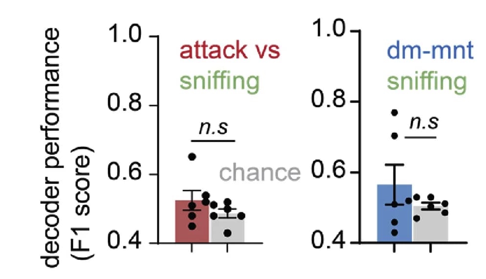 Open access visualization of Bar Plot, Error Bars, Performance, Binary Decoder, Behavior Pairs