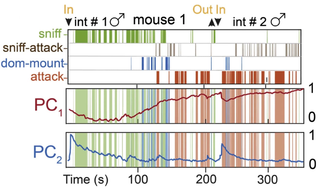 Open access visualization of Line Plot, Bar Plot, Behavior rasters, Principal components, Dynamical system