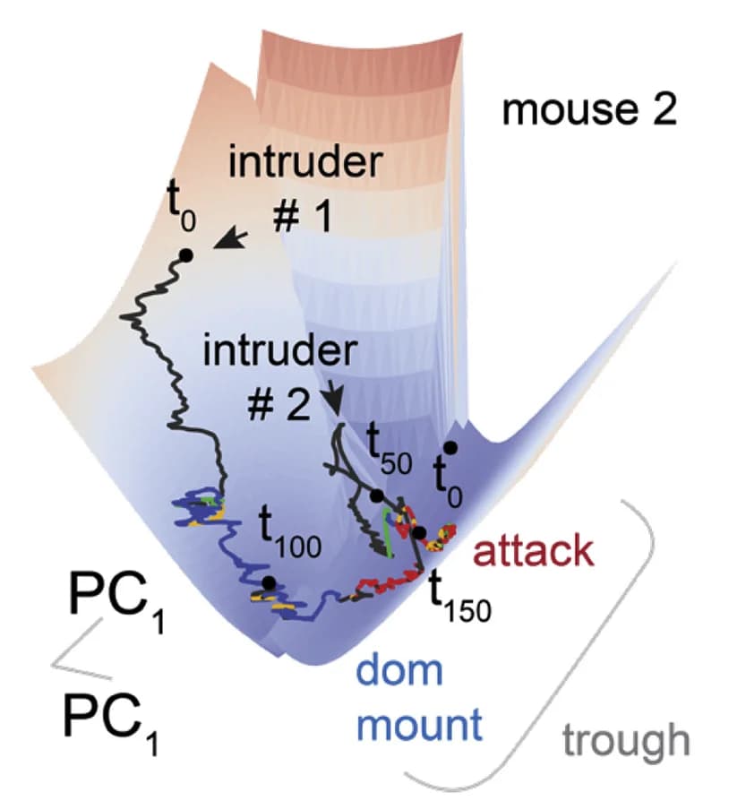 Open access visualization of 3D Plot, Inferred 3D Dynamic Landscape, Mouse, Line Attractor